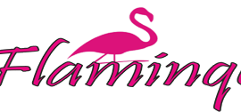 “Flaminqo” – Ailəvi istirahət mərkəzi
