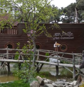 Dalğa balıq restoranı