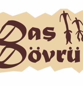 Daş Dövrü