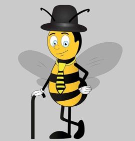 Mr.Bee