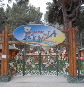 Koala Park
